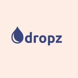 logo dropz (1)